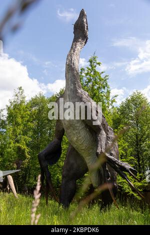 Ein Modell ist am 29. Mai 2020 im Dinosaurier-Vergnügungspark in Baltow, Polen, zu sehen. Der beliebte Komplex beherbergt in der Regel Hunderte von Touristen jeden Tag. Während der pandemischen Sperrung war der Baltow-Komplex gezwungen, seine Aktivitäten zu schließen und teilweise wieder zu öffnen, während die Sperrung langsam nachlässt. (Foto von Dominika Zarzycka/NurPhoto) Stockfoto