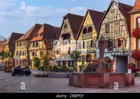 Bergheim, Alsace, Haut-Rhin, Grand Est, Frankreich Stockfoto