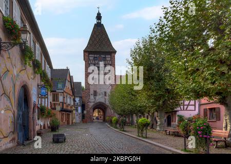 Bergheim, Alsace, Haut-Rhin, Grand Est, Frankreich Stockfoto