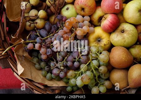 Italien Emilia Romagna Novafeltria: Festa della vendemmia e dei frutti d'autunno Frutti autunnali , cesto di fruutta Italien Emilia Romagna Novafeltria: Festival der Weinlese und Herbstfrüchte Herbstfrüchte Herbstfrüchte, Obstkorb Stockfoto