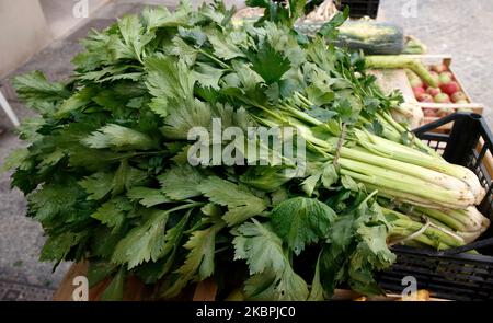 Italien Emilia Romagna Novafeltria: Festa della vendemmia e dei frutti d'autunno- sedano Stockfoto