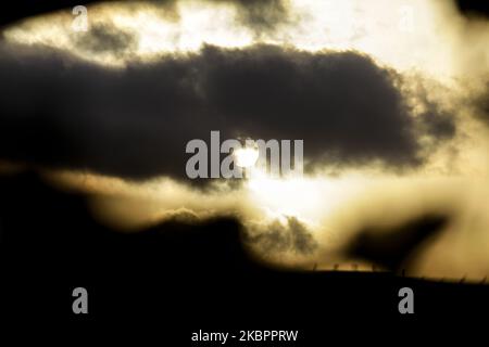 Die Sonne geht am 05. Juni 2020 im Osten des Gazastreifens auf. (Foto von Sameh Rahmi/NurPhoto) Stockfoto