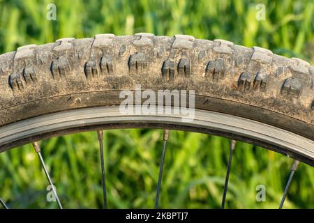 Nahaufnahme eines schmutzigen Fahrradrades mit Reifen und Speichen Stockfoto