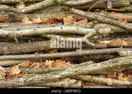 Nahaufnahme der auf einem Haufen liegenden Äste, Draufsicht Stockfoto