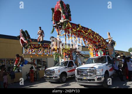 Tamilische Hindu-Anhänger, die das para-Kavadi-Ritual durchführen, werden während des Vinayagar Ther Thiruvizha Festivals in Ontario, Kanada, von Haken aufgehängt, die in ihren Rücken und Beinen getrieben werden und als Bußakt auf und ab prallten. (Foto von Creative Touch Imaging Ltd./NurPhoto) Stockfoto