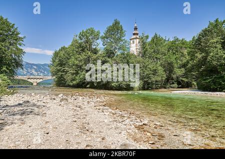 Fluss Sava Bohinjka am Bohinjer See, Nationalpark Triglav, Slowenien Stockfoto