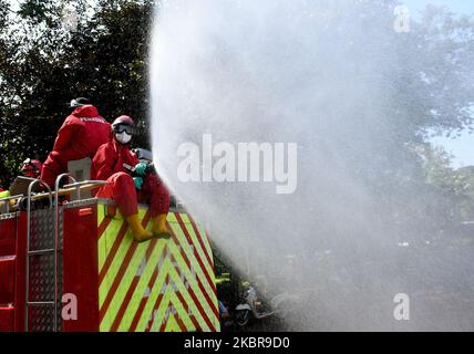 Am 17. Juni 2020 wird der Feuerwehr- und Rettungsdienst von Jakarta Desinfektionsmittel im Zoo von Ragunan sprühen. Der Feuerwehrdienst setzte 9 Einheiten von Feuerwehrautos, 13 tragbare Sprühgeräte und 89 Mitarbeiter ein, um die Ausbreitung des Covid-19-Virus vor der Tour im Juni 20, 2020 zu verhindern. (Foto von Dasril Roszandi/NurPhoto) Stockfoto