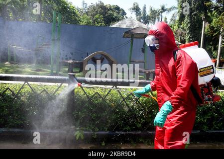 Am 17. Juni 2020 wird der Feuerwehr- und Rettungsdienst von Jakarta Desinfektionsmittel im Zoo von Ragunan sprühen. Der Feuerwehrdienst setzte 9 Einheiten von Feuerwehrautos, 13 tragbare Sprühgeräte und 89 Mitarbeiter ein, um die Ausbreitung des Covid-19-Virus vor der Tour im Juni 20, 2020 zu verhindern. (Foto von Dasril Roszandi/NurPhoto) Stockfoto