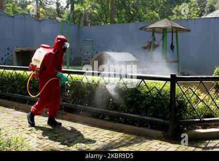 Am 17. Juni 2020 wird der Feuerwehr- und Rettungsdienst von Jakarta Desinfektionsmittel im Zoo von Ragunan sprühen. Der Feuerwehrdienst setzte 9 Einheiten von Feuerwehrautos, 13 tragbare Sprühgeräte und 89 Mitarbeiter ein, um die Ausbreitung des Covid-19-Virus vor der Tour im Juni 20, 2020 zu verhindern. (Foto von Dasril Roszandi/NurPhoto) Stockfoto