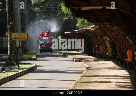 Am 17. Juni 2020 wird der Feuerwehr- und Rettungsdienst von Jakarta Desinfektionsmittel im Zoo von Ragunan sprühen. Der Feuerwehrdienst setzte 9 Einheiten von Feuerwehrautos, 13 tragbare Sprühgeräte und 89 Mitarbeiter ein, um die Ausbreitung des Covid-19-Virus vor der Tour im Juni 20, 2020 zu verhindern. (Foto von Dasril Roszandi/NurPhoto) Stockfoto