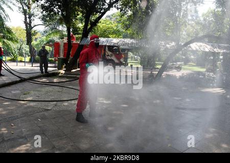 Am 17. Juni 2020 wird der Feuerwehr- und Rettungsdienst von Jakarta Desinfektionsmittel im Zoo von Ragunan sprühen. Der Feuerwehrdienst setzte 9 Einheiten von Feuerwehrautos, 13 tragbare Sprühgeräte und 89 Mitarbeiter ein, um die Ausbreitung des Covid-19-Virus vor der Tour im Juni 20, 2020 zu verhindern. (Foto von Dasril Roszandi/NurPhoto) Stockfoto