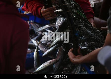 Fischer sammeln ihre Fänge am 20. Juni zum Weiterverkauf auf dem Markt im Hafen von Fish, Donggala Regency, Central Sulawesi Province, Indonesien, ein. 2020. Die Aktivitäten der Fischer in der Region begannen normal zu laufen, nachdem die Regierung die Aktivitäten der Gemeinden in verschiedenen Sektoren gelockert hatte, obwohl die Corona-Virus-Pandemie (COVID-19) noch nicht beendet war (Foto: Mohamad Hamzah/NurPhoto) Stockfoto