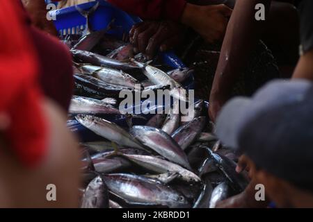 Fischer sammeln ihre Fänge am 20. Juni zum Weiterverkauf auf dem Markt im Hafen von Fish, Donggala Regency, Central Sulawesi Province, Indonesien, ein. 2020. Die Aktivitäten der Fischer in der Region begannen normal zu laufen, nachdem die Regierung die Aktivitäten der Gemeinden in verschiedenen Sektoren gelockert hatte, obwohl die Corona-Virus-Pandemie (COVID-19) noch nicht beendet war (Foto: Mohamad Hamzah/NurPhoto) Stockfoto