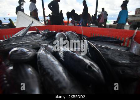 Fischer sammeln ihre Fänge am 20. Juni zum Weiterverkauf auf dem Markt im Hafen von Fish, Donggala Regency, Central Sulawesi Province, Indonesien, ein. 2020. Die Aktivitäten der Fischer in der Region begannen normal zu laufen, nachdem die Regierung die Aktivitäten der Gemeinden in verschiedenen Sektoren gelockert hatte, obwohl die Corona-Virus-Pandemie (COVID-19) noch nicht beendet war (Foto: Mohamad Hamzah/NurPhoto) Stockfoto