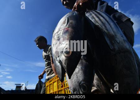 Fischer sammeln ihre Fänge am 20. Juni zum Weiterverkauf auf dem Markt im Hafen von Fish, Donggala Regency, Central Sulawesi Province, Indonesien, ein. 2020. Die Aktivitäten der Fischer in der Region begannen normal zu laufen, nachdem die Regierung die Aktivitäten der Gemeinden in verschiedenen Sektoren gelockert hatte, obwohl die Corona-Virus-Pandemie (COVID-19) noch nicht beendet war (Foto: Mohamad Hamzah/NurPhoto) Stockfoto