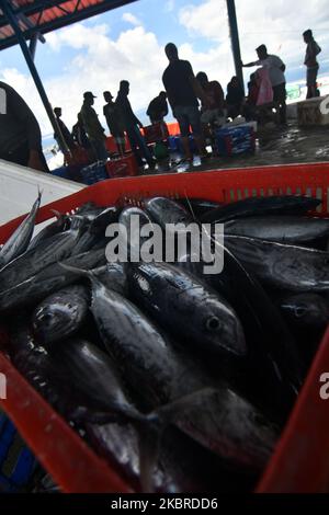 Fischer sammeln ihre Fänge am 20. Juni zum Weiterverkauf auf dem Markt im Hafen von Fish, Donggala Regency, Central Sulawesi Province, Indonesien, ein. 2020. Die Aktivitäten der Fischer in der Region begannen normal zu laufen, nachdem die Regierung die Aktivitäten der Gemeinden in verschiedenen Sektoren gelockert hatte, obwohl die Corona-Virus-Pandemie (COVID-19) noch nicht beendet war (Foto: Mohamad Hamzah/NurPhoto) Stockfoto