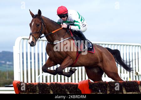 American Mike, der von dem Jockey Jack Kennedy auf dem Weg zum Gewinn des Irish Hengst Farms European Breeders Fund Maiden am ersten Tag des Ladbrokes Festival of Racing auf der Down Royal Racecourse, Lisburn, gefahren wird. Bilddatum: Freitag, 4. November 2022. Stockfoto