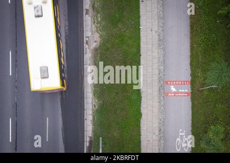 In der Nähe eines Radweges fährt ein Bus ab, auf dem ein Schild aufgemalt ist, um die Radfahrer vor dem Überqueren von Wildenten am 21. Juni 2020 in Warschau, Polen, zu warnen. Die Verwaltung der Stadtstraßen von Warschau (ZDM) hat Schilder auf Fahrradwegen gemalt, um Radfahrer vor dem Überqueren von Merganser, Wirld Enten zu warnen. Zwischen März und Mai machen wilde Enten die gefährliche Überquerung gegenüber der geschäftigen Czerniakowski Straße von ihrem Teich zur Weichsel. (Foto von Jaap Arriens/NurPhoto) Stockfoto