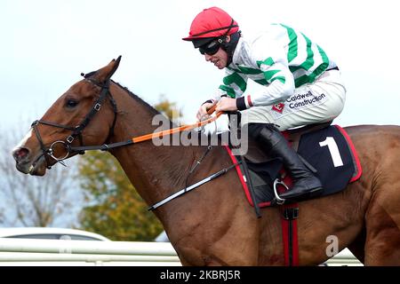 American Mike, der von dem Jockey Jack Kennedy auf dem Weg zum Gewinn des Irish Hengst Farms European Breeders Fund Maiden am ersten Tag des Ladbrokes Festival of Racing auf der Down Royal Racecourse, Lisburn, gefahren wird. Bilddatum: Freitag, 4. November 2022. Stockfoto