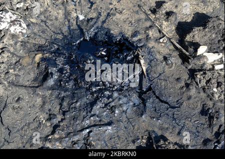 ALBANIEN, Kuçova, benannt Stalin Stadt von 1950 to1991,Rohölfeld und Bohrpumpe aus kommunistischer Zeit, immer noch in Betrieb und umweltschädlich , Ölpfütze / ALBANIEN, Kucova, von 1950 bis 1991 Qyteti Stalin, Stalinstadt, Erdölförderung, alte Oelföerderpumpe, die heute noch zur Ölförderung in Betrieb sind, Öllache Stockfoto