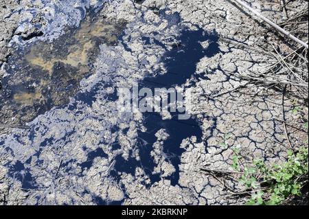 ALBANIEN, Kuçova, benannt Stalin Stadt von 1950 to1991,Rohölfeld und Bohrpumpe aus kommunistischer Zeit, immer noch in Betrieb und umweltschädlich , Ölpfütze / ALBANIEN, Kucova, von 1950 bis 1991 Qyteti Stalin, Stalinstadt, Erdölförderung, alte Oelföerderpumpe, die heute noch zur Ölförderung in Betrieb sind, Öllache Stockfoto