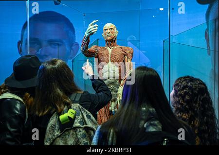 Mailand, Italien - 4. November 2022: Besucher der Ausstellung Body Worlds – The Rhythm of Life, kuratiert von Plastinator Dr. Gunther von Hagens und Kuratorin Dr. Angelina Whalley, Stazione di Milano Centrale, zeigen reale Exemplare, die die Komplexität, Widerstandsfähigkeit und Verletzlichkeit des menschlichen Körpers demonstrieren. Stockfoto