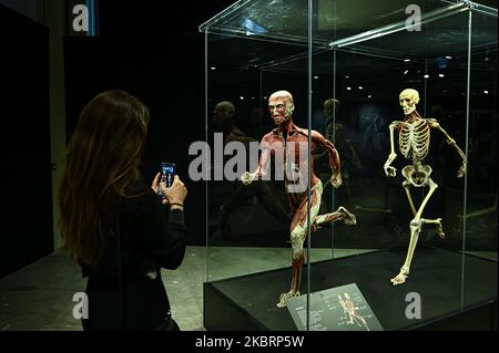 Mailand, Italien – 4. November 2022: Ein Besucher fotografiert die Ausstellung Body Worlds – The Rhythm of Life, kuratiert von Plastinator Dr. Gunther von Hagens und Kuratorin Dr. Angelina Whalley im Stazione di Milano Centrale, in der reale Exemplare gezeigt werden, die die Komplexität, Widerstandsfähigkeit und Verletzlichkeit des menschlichen Körpers demonstrieren. Stockfoto