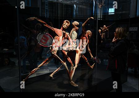 Mailand, Italien - 4. November 2022: Besucher der Ausstellung Body Worlds – The Rhythm of Life, kuratiert von Plastinator Dr. Gunther von Hagens und Kuratorin Dr. Angelina Whalley, Stazione di Milano Centrale, zeigen reale Exemplare, die die Komplexität, Widerstandsfähigkeit und Verletzlichkeit des menschlichen Körpers demonstrieren. Stockfoto
