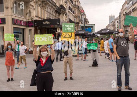 Aktivisten der Extinction Rebellion halten am 27. Juni 2020 in Brüssel - Belgien ein Brett mit Slogans auf. Rund 75 Aktivisten wurden vor dem Aussterben verhaftet Rebellion Belgien. Etwa 250 Anhänger der radikalen Klimaorganisation hatten erstmals an verschiedenen Orten in der Hauptstadt Brüssel demonstriert. Extinction Rebellion beklagt, dass die Politik zu sehr von Geld und Wirtschaft geleitet ist. (Foto von Jonathan Raa/NurPhoto) Stockfoto