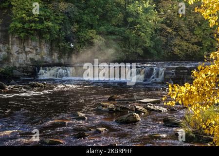 Richmond Falls am Fluss Swale in Swaledale. Richmond, North Yorkshire, England, Großbritannien Stockfoto
