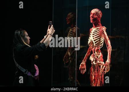 Mailand, Italien - 4. November 2022: Besucher der Ausstellung Body Worlds – The Rhythm of Life, kuratiert von Plastinator Dr. Gunther von Hagens und Kuratorin Dr. Angelina Whalley, Stazione di Milano Centrale, zeigen reale Exemplare, die die Komplexität, Widerstandsfähigkeit und Verletzlichkeit des menschlichen Körpers demonstrieren. Stockfoto