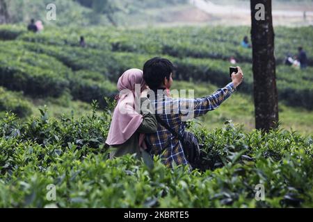 Indonesier, die bei einem Teeplantagen-Tourismus in Puncak, Bogor, West Java, Indonesien, 28. Juni, 2020. Nachdem die indonesische Regierung die Beschränkungen für Bewegungen aufgehoben hatte, gab es Bedenken hinsichtlich der Ausbreitung des Coronavirus (COVID-19). (Foto von Adriana Adie/NurPhoto) Stockfoto