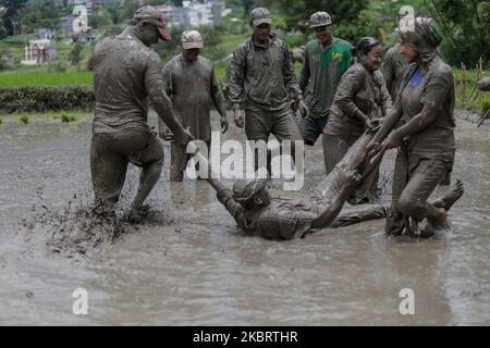 Während des Nationalen Paddltages, der auch Asar Pandra am Stadtrand von Kathmandu, Nepal, genannt wird, spielen Menschen im Schlamm auf dem Reisfeld. Der Tag wird am 29. Juni 2020 begangen. Nepalesen feiern den National Paddy Day mit Plantinf-Reiskulturen, Palyinf im Schlammwasser, Singen beim Essen von Joghurt und geschlagenem Reis zu Beginn der Monsunsaison. (Foto von Sunil Pradhan/NurPhoto) Stockfoto