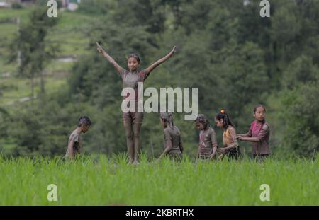 Kinder spielen im Schlamm auf dem Reisfeld während des National Paddy Day, der auch Asar Pandra am Stadtrand von Kathmandu, Nepal, genannt wird, am 29. Juni 2020. Nepalesen feiern den National Paddy Day mit Plantinf-Reiskulturen, Palyinf im Schlammwasser, Singen beim Essen von Joghurt und geschlagenem Reis zu Beginn der Monsunsaison. (Foto von Sunil Pradhan/NurPhoto) Stockfoto