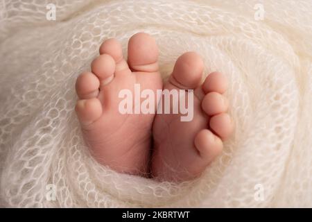 Nahaufnahme von Zehen, Fersen und Füßen eines Neugeborenen. Studio Makro-Fotografie. Stockfoto