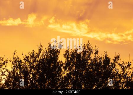 Wolken in einem sehr bunten Himmel während eines sommerlichen Sonnenuntergangs in Estland Stockfoto