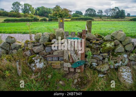 Holztor mit einem speziellen „Scharnier“ auf einem Wanderweg in den Yorkshire Dales, England, Großbritannien. Stockfoto