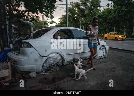 Christina Dela Cruz, 49, spielt mit ihren Welpen neben einem verlassenen Auto, das am 9. Juli 2020 als Nothelfheim in Manila, Philippinen, dient. Dela Cruz und ihr Partner, Ramil Mañanita, 39, verließen ihr Miethaus ebenfalls in Manila, nachdem sie 5 Monate Mietgebühr nicht bezahlt hatten. Ohne einen Job aufgrund der Sperre lässt das Paar die Enden treffen, indem es Plastikflaschen aufholt und diese an Junk-Shops verkauft. Das Paar mit ihrer Katze und vier Welpen lebt seit April in dem zerstörten Auto.(Foto: Lisa Marie David/NurPhoto) Stockfoto