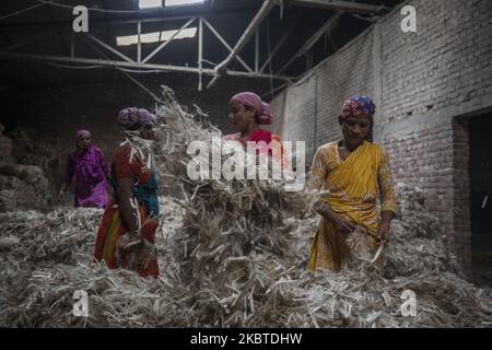 Am 11. Juli 2020 arbeiten Frauen in einer Jute-Verarbeitungsfabrik in Narayanganj in der Nähe von Dhaka, Bangladesch. Jute, auch bekannt als die goldene Faser von Bangladesch, spielt eine wichtige Rolle in der nationalen Wirtschaft. Achtzig Prozent der weltweit hochwertigen Jute wächst in Bangladesch. Jute wird bei der Herstellung von Tuch, Tuch, Seilen, Teppich-Trägertuch, Büchsenbeuteln und vielen anderen nützlichen Dingen verwendet. Jutebeutel eignen sich sehr gut zum Verpacken von Lebensmittelkörnern. (Foto von Ahmed Salahuddin/NurPhoto) Stockfoto