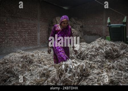 Eine Frau arbeitet am 11. Juli 2020 in einer Jute-Verarbeitungsfabrik in Narayanganj in der Nähe von Dhaka, Bangladesch. Jute, auch bekannt als die goldene Faser von Bangladesch, spielt eine wichtige Rolle in der nationalen Wirtschaft. Achtzig Prozent der weltweit hochwertigen Jute wächst in Bangladesch. Jute wird bei der Herstellung von Tuch, Tuch, Seilen, Teppich-Trägertuch, Büchsenbeuteln und vielen anderen nützlichen Dingen verwendet. Jutebeutel eignen sich sehr gut zum Verpacken von Lebensmittelkörnern. (Foto von Ahmed Salahuddin/NurPhoto) Stockfoto