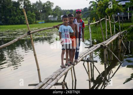 Kinder aus dem Dorf Bangladesch überqueren auf der Bambusbrücke die Überschwemmungsgewässer, als sie am 16. Juli 2020 ihren Weg nach Hause im Distrikt Jamalpur, Bangladesch, finden (Foto: Mamunur Rashid/NurPhoto) Stockfoto