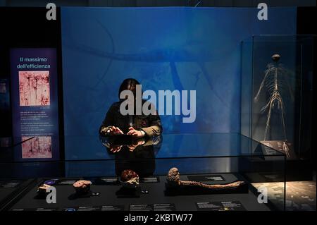 Mailand, Italien. 04.. November 2022. Mailand, Italien - 4. November 2022: Besucher der Ausstellung Body Worlds - The Rhythm of Life, kuratiert von Plastinator Dr. Gunther von Hagens und Kuratorin Dr. Angelina Whalley, Stazione di Milano Centrale, zeigen reale Exemplare, die die Komplexität, Widerstandsfähigkeit und Verletzlichkeit des menschlichen Körpers demonstrieren. (Foto: Piero Cruciatti/Sipa USA) Quelle: SIPA USA/Alamy Live News Stockfoto