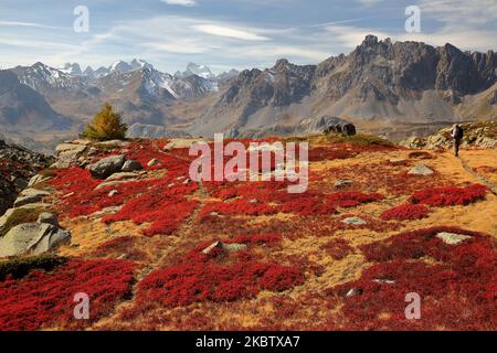 Farbenfrohe Landschaft in Vallee de la Claree (Tal der Claree) oberhalb des Dorfes Nevache, Hautes Alpes (Französische Südalpen), Frankreich Stockfoto