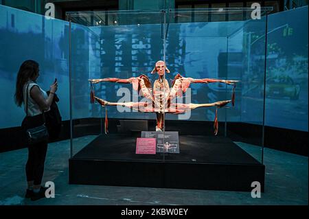 Italien. 04.. November 2022. Mailand, Italien - 4. November 2022: Ein Besucher macht ein Foto bei den Body Worlds ? Die Ausstellung Rhythm of Life, kuratiert von Plastinator Dr. Gunther von Hagens und Kuratorin Dr. Angelina Whalley, zeigt reale Exemplare, die die Komplexität, Widerstandsfähigkeit und Verletzlichkeit des menschlichen Körpers demonstrieren. (Foto: Piero Cruciatti/Sipa USA) Quelle: SIPA USA/Alamy Live News Stockfoto