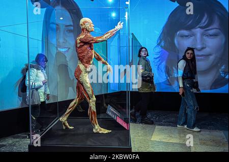 Italien. 04.. November 2022. Mailand, Italien - 4. November 2022: Besucher der Body Worlds ? Die Ausstellung Rhythm of Life, kuratiert von Plastinator Dr. Gunther von Hagens und Kuratorin Dr. Angelina Whalley, zeigt reale Exemplare, die die Komplexität, Widerstandsfähigkeit und Verletzlichkeit des menschlichen Körpers demonstrieren. (Foto: Piero Cruciatti/Sipa USA) Quelle: SIPA USA/Alamy Live News Stockfoto