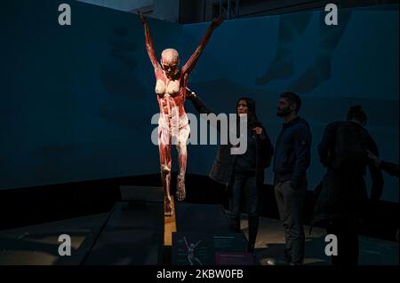 Italien. 04.. November 2022. Mailand, Italien - 4. November 2022: Besucher der Body Worlds ? Die Ausstellung Rhythm of Life, kuratiert von Plastinator Dr. Gunther von Hagens und Kuratorin Dr. Angelina Whalley, zeigt reale Exemplare, die die Komplexität, Widerstandsfähigkeit und Verletzlichkeit des menschlichen Körpers demonstrieren. (Foto: Piero Cruciatti/Sipa USA) Quelle: SIPA USA/Alamy Live News Stockfoto