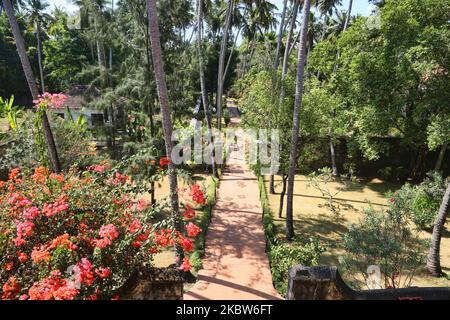 Blühende Pflanzen und hohe Bäume wachsen am 12. Februar 2020 auf dem Gelände des Padmanabhapuram Royal Palace in Padmanabhapuram, Tamil Nadu, Indien. (Foto von Creative Touch Imaging Ltd./NurPhoto) Stockfoto