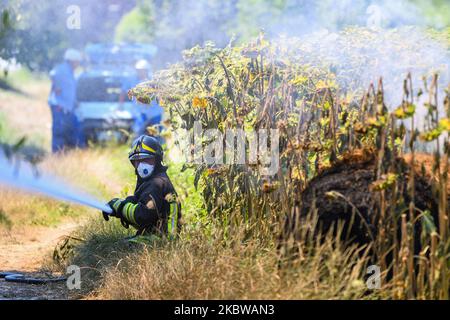 Das Provinzkommando der Feuerwehrleute von Rieti, in Aktion, um ein Feuer zu löschen, das am 28. Juli 2020 in einem landwirtschaftlichen Schuppen in Rieti, Italien, ausbrach. (Foto von Riccardo Fabi/NurPhoto) Stockfoto