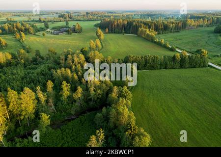 Ein Luftblick auf mosaikfarbene ländliche Landschaft mit Feldern und Wäldern in Estland und Nordeuropa. Stockfoto