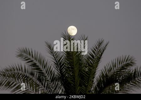 Der Mond über der Stadt Deir Al-Balah im zentralen Gazastreifen, am 01. August 2020. Der zweite Tag von Eid al-Adha, dem wichtigsten Feiertag des Islam, markiert die Bereitschaft des Propheten Ibrahim, seinen Sohn zu opfern, angesichts der Besorgnis über die Ausbreitung der Coronavirus-Krankheit (COVID-19) im Gazastreifen (Foto von Sameh Rahmi/NurPhoto) Stockfoto